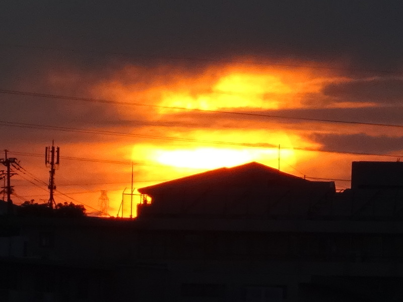 1dsc03681