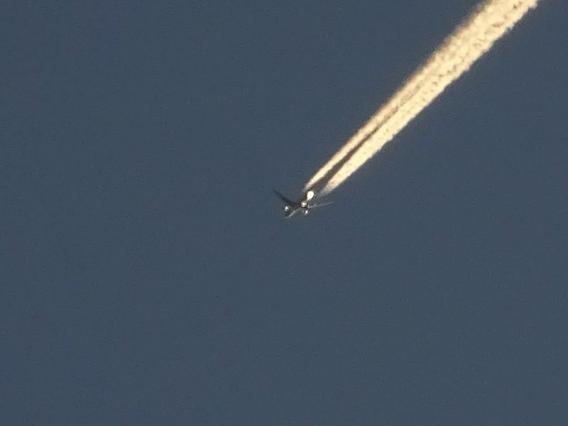 1dsc03766