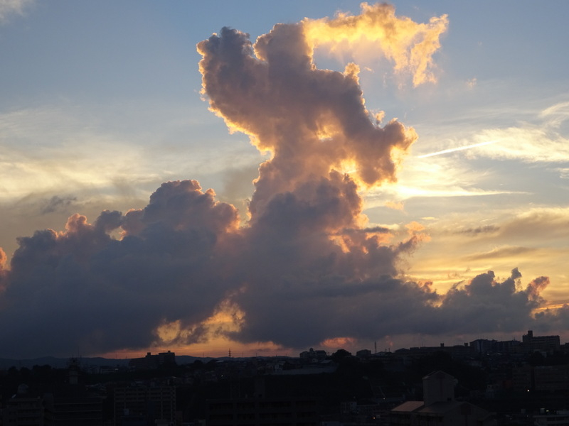 1dsc03772_2