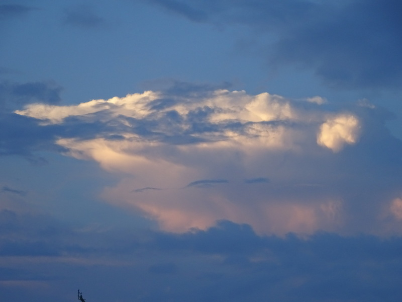 04dsc03785