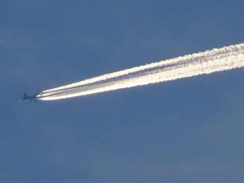 32dsc03816