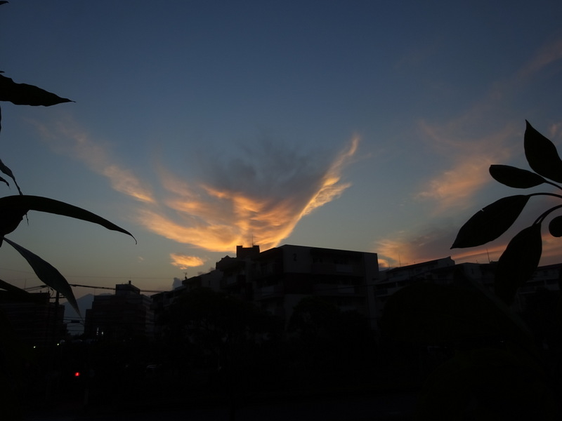 03dsc04157