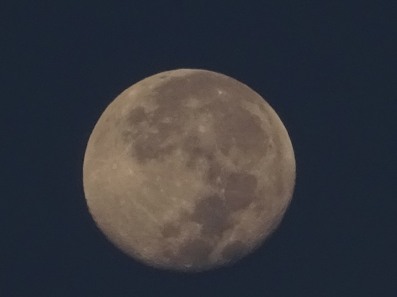 06dsc04160