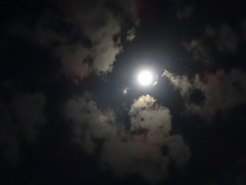 16dsc04146