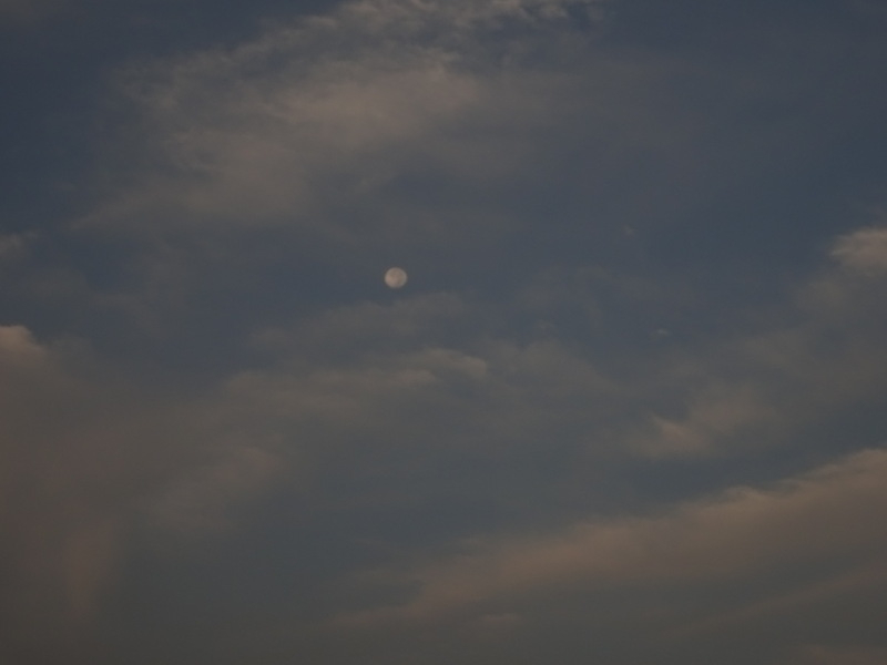 18dsc04172