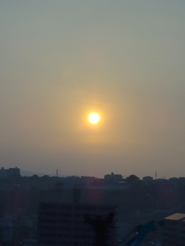 1dsc04206