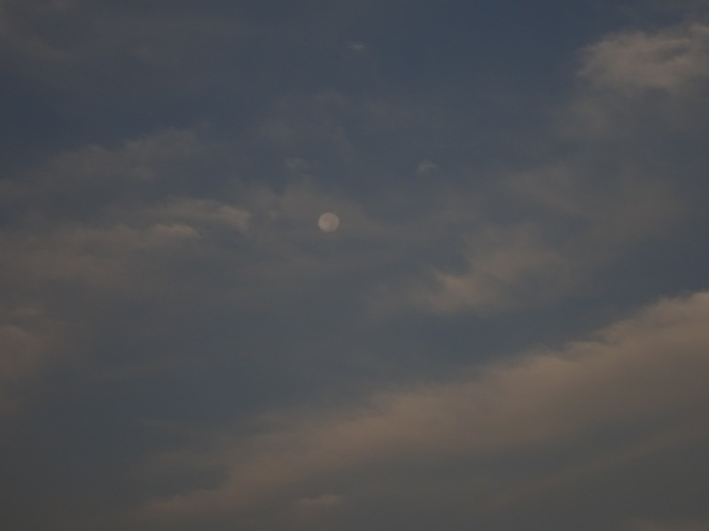 20dsc04174