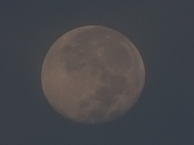 22dsc04176