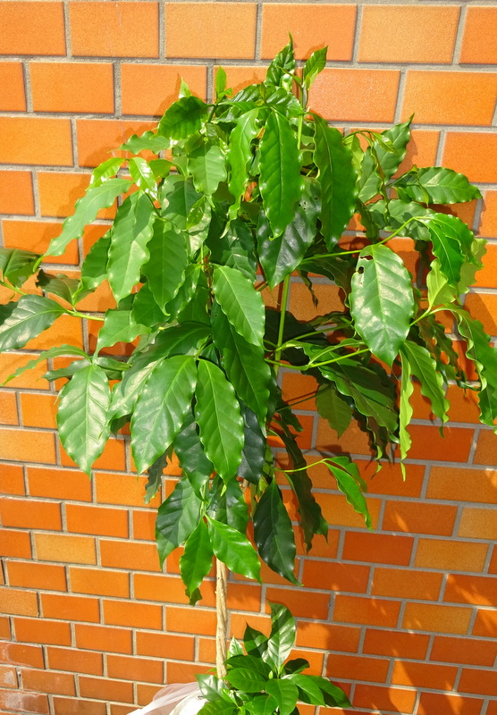 1dsc04191001
