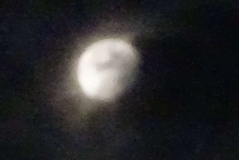 1dsc04221