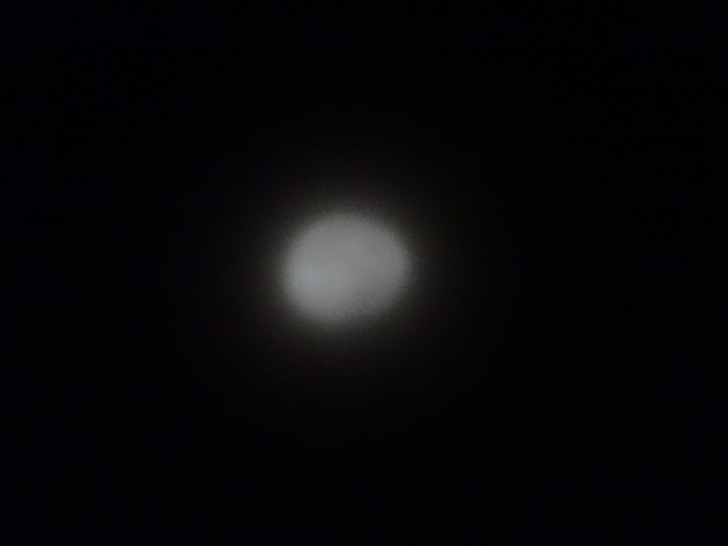 1dsc04231