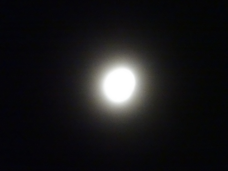 2dsc04214