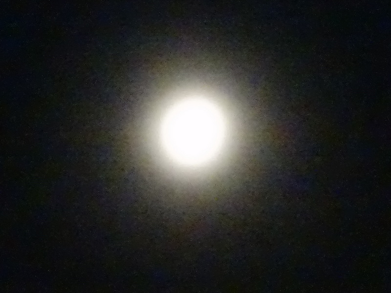 3dsc04215
