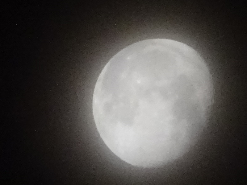 5dsc04217
