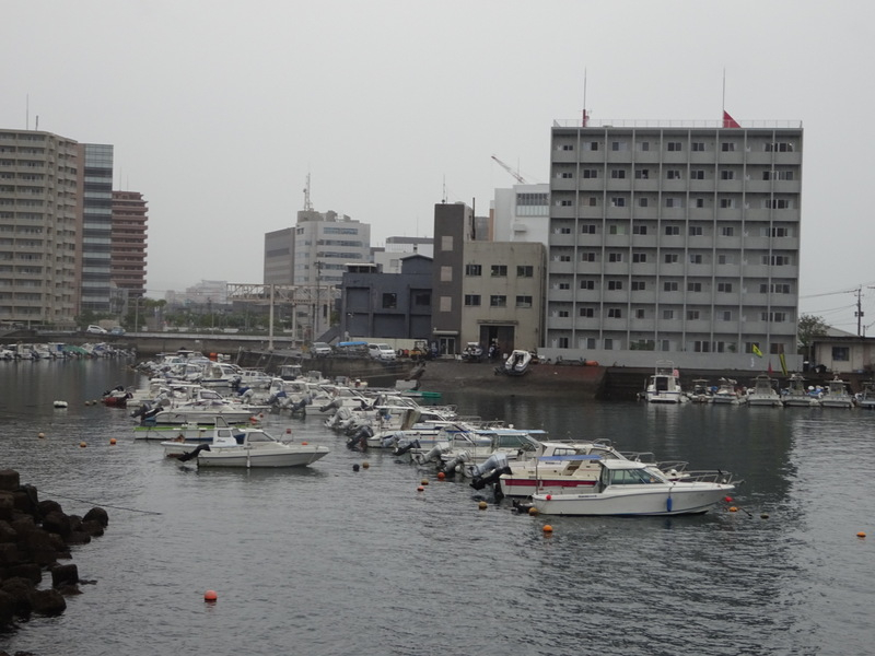 04dsc04330