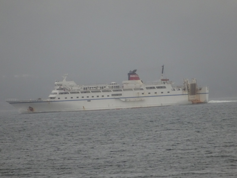 11dsc04338