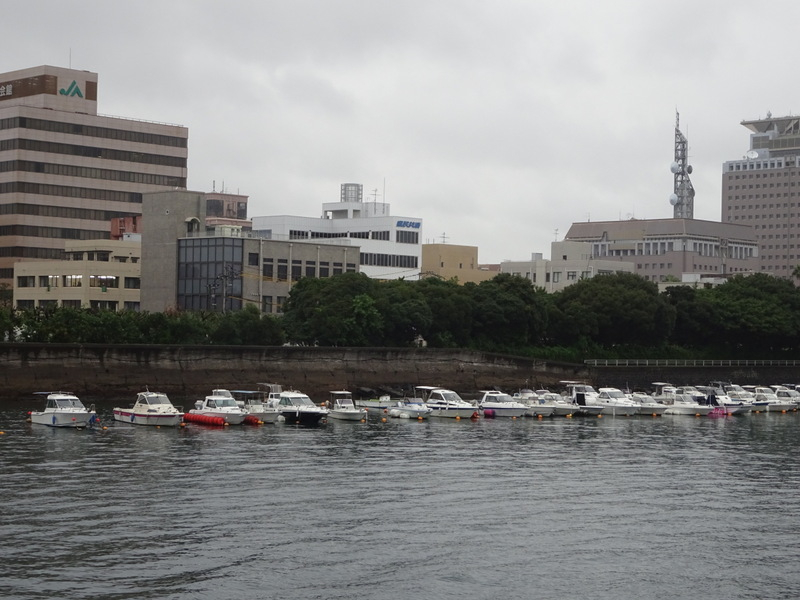 14dsc04341