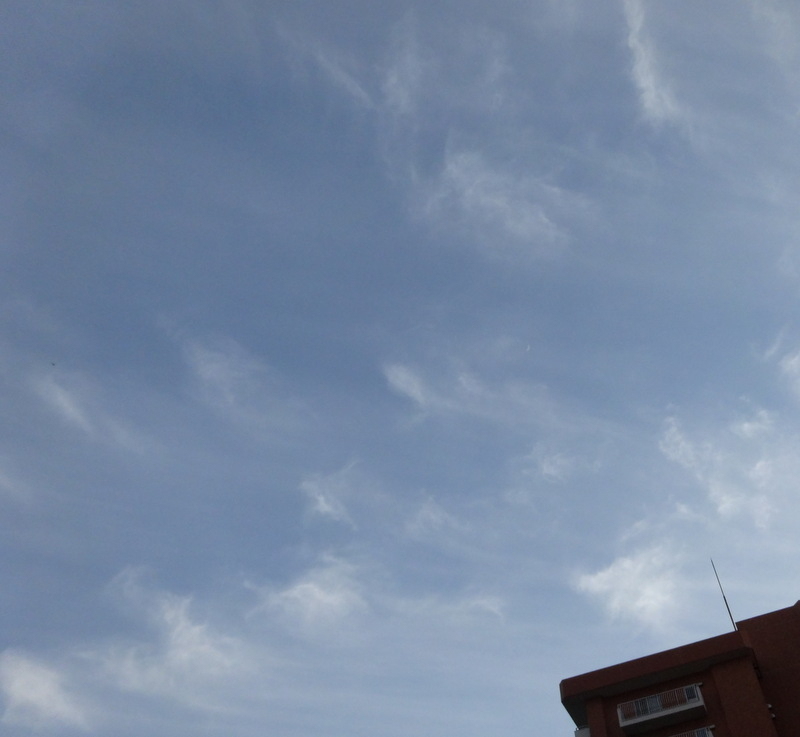 1dsc09744