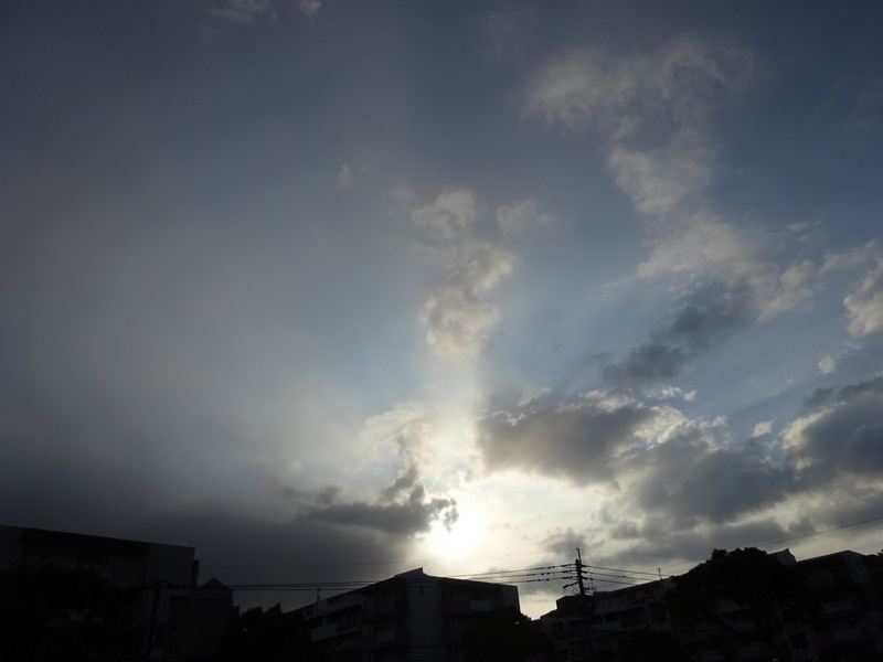 01dsc04950001_2