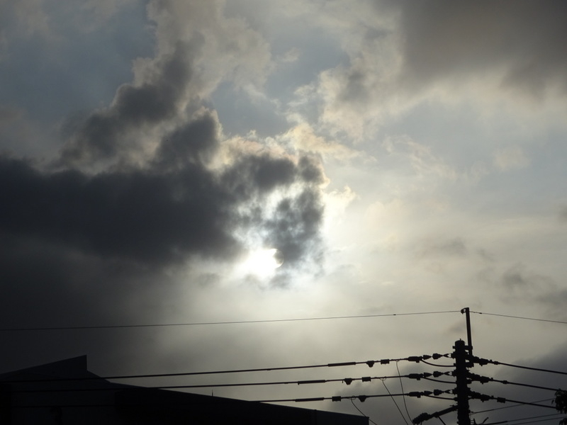 02dsc04951001