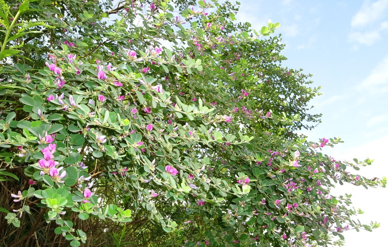 1dsc05079