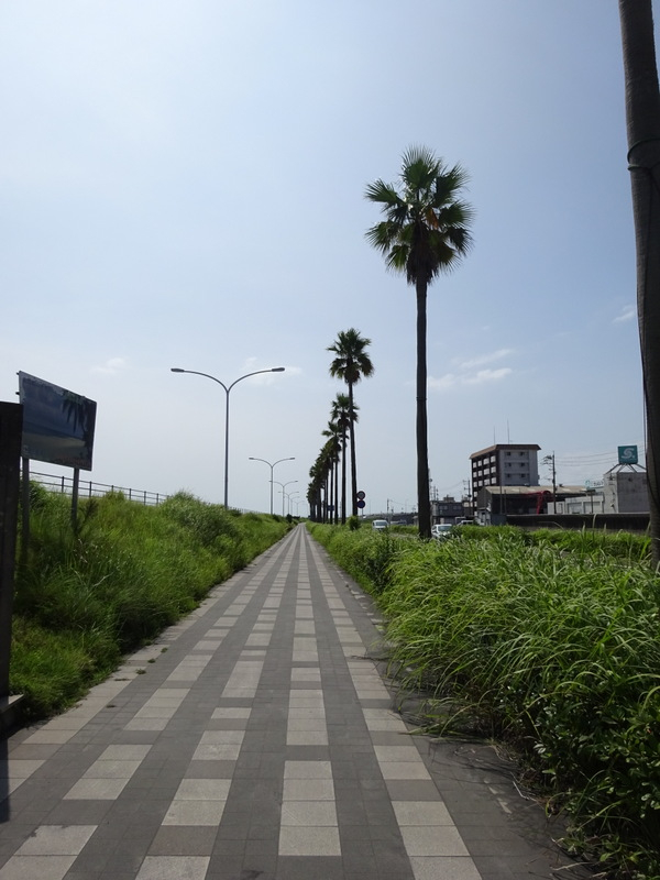 24dsc04985001
