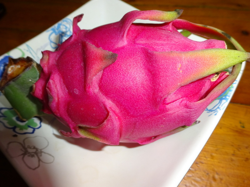 02dsc05134_2