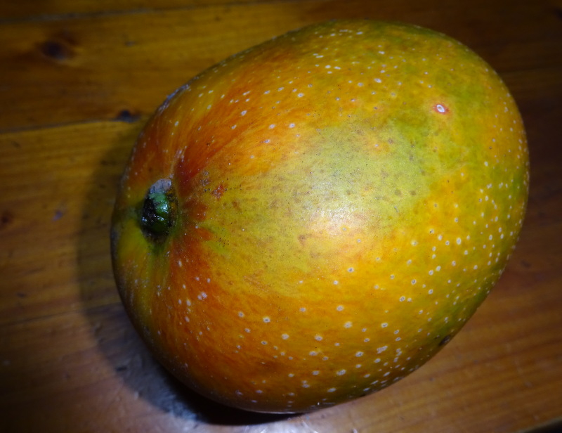 10dsc05130