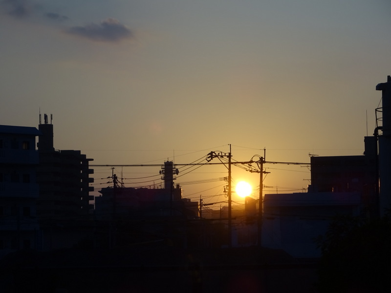 17dsc05149