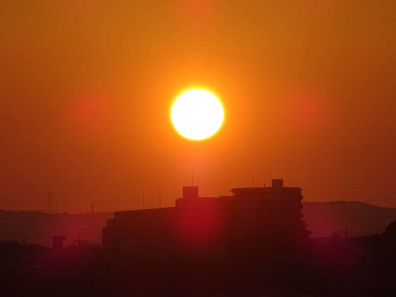 23dsc05155