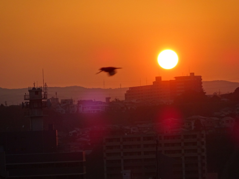 28dsc05160