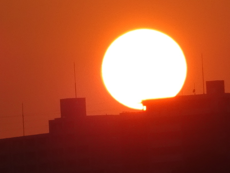 31dsc05163