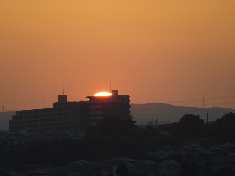 37dsc05169