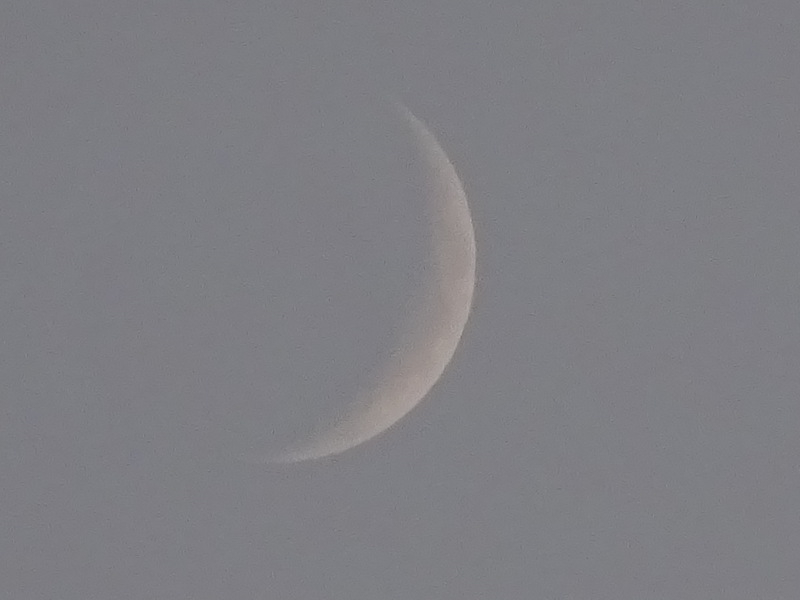 42dsc05174