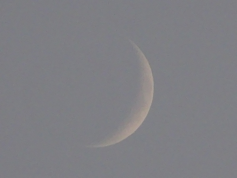 44dsc05176