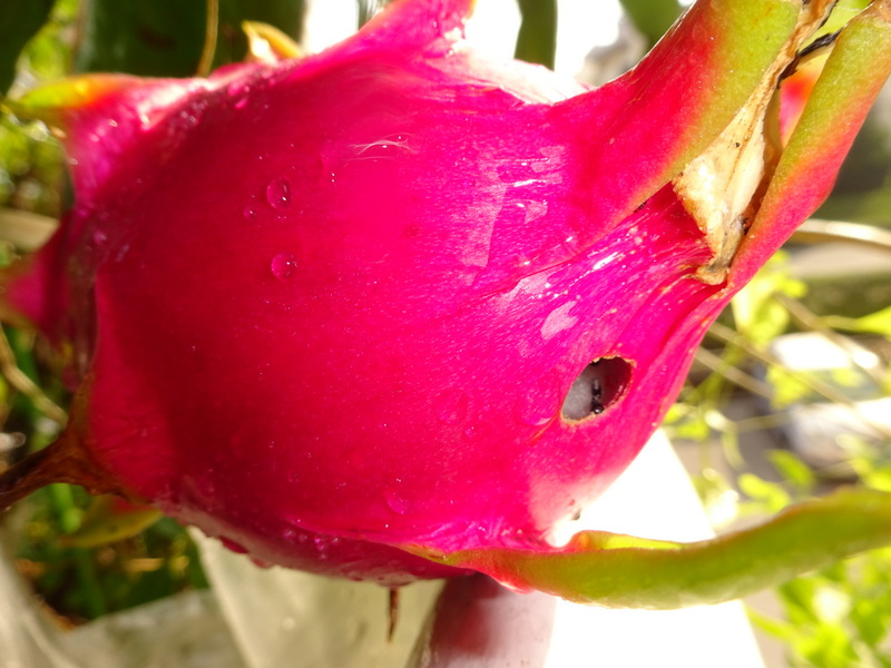 05dsc05182 05dsc05182