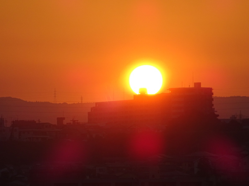08dsc05221