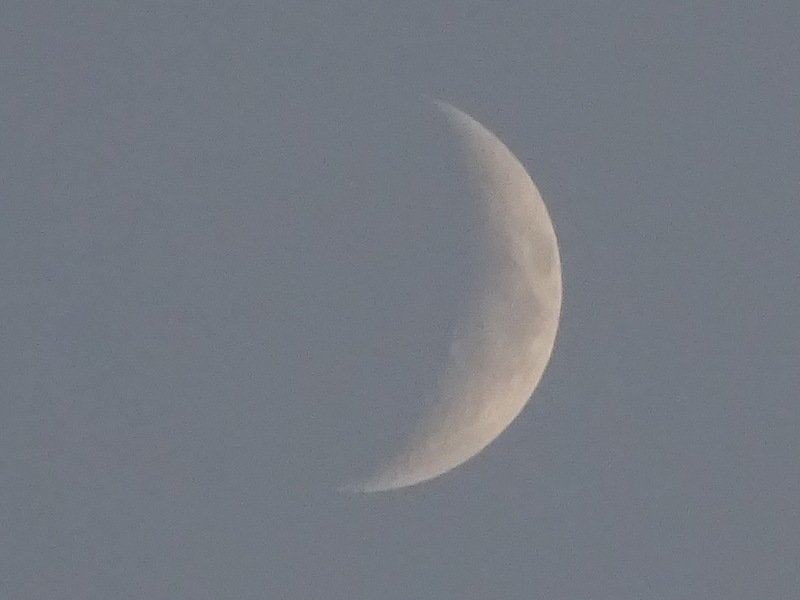 25dsc05239