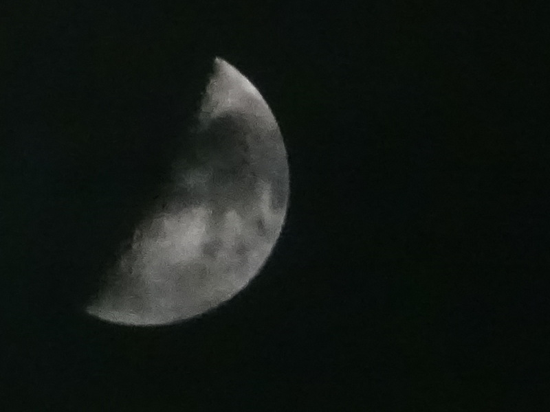 01dsc05275