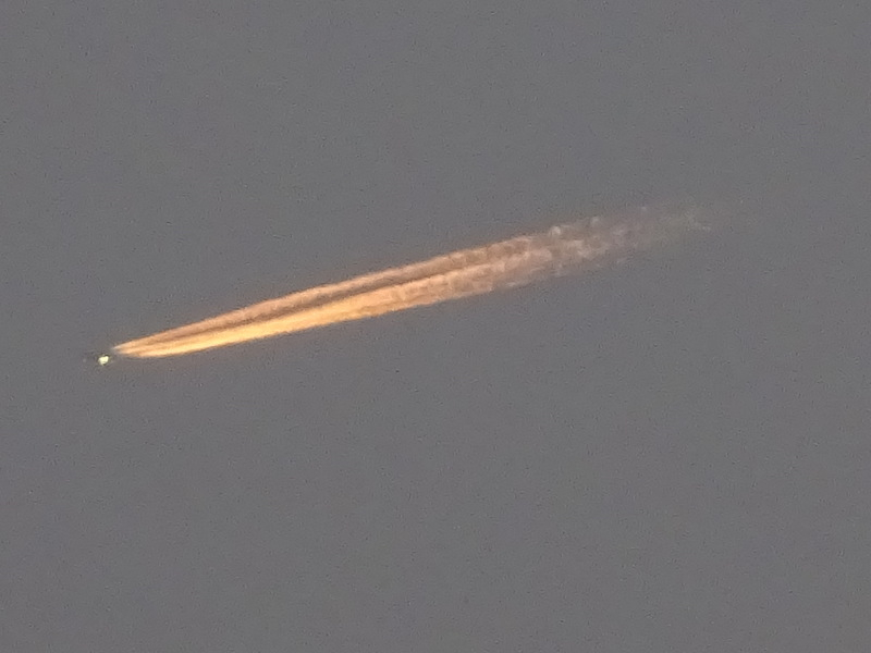 02dsc05299