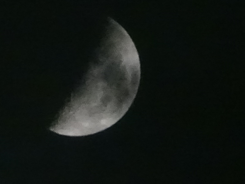 1dsc05277