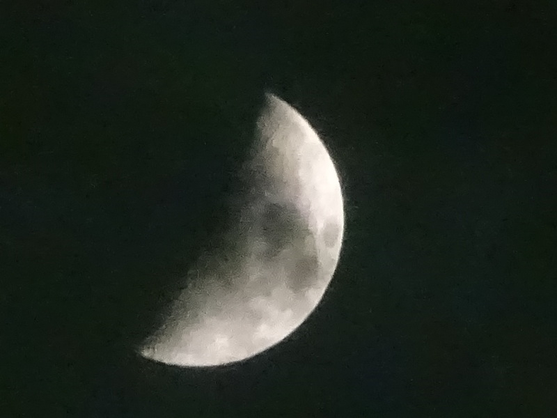 1dsc05280