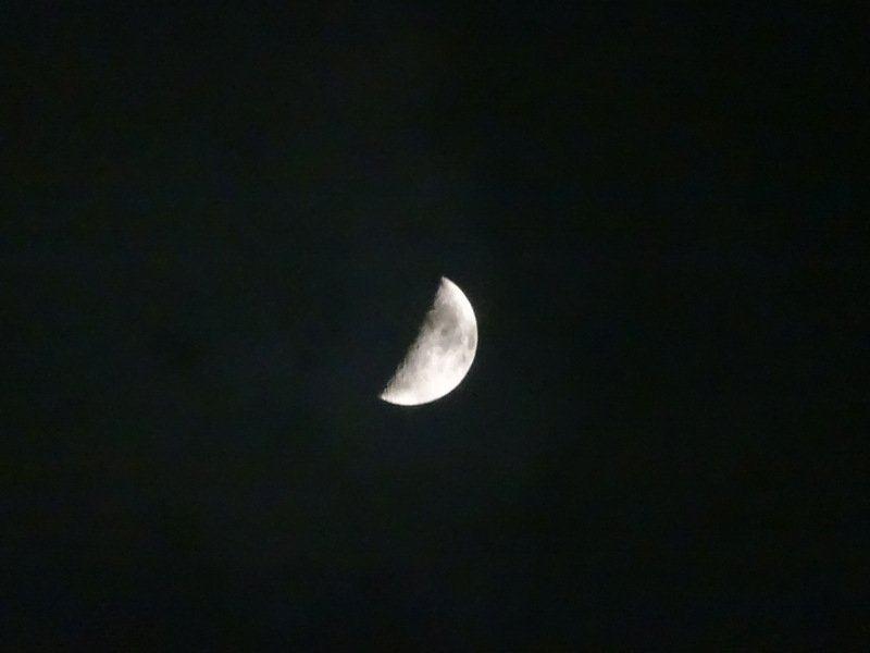 1dsc05284
