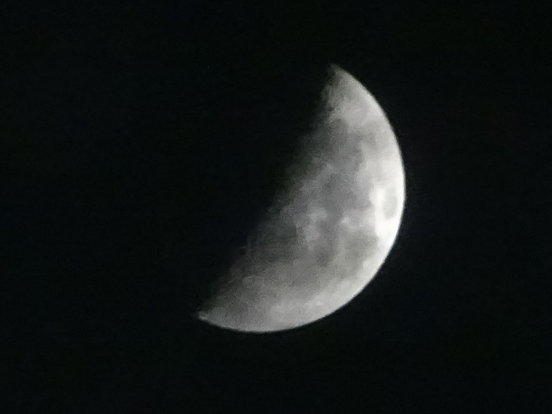 1dsc05286