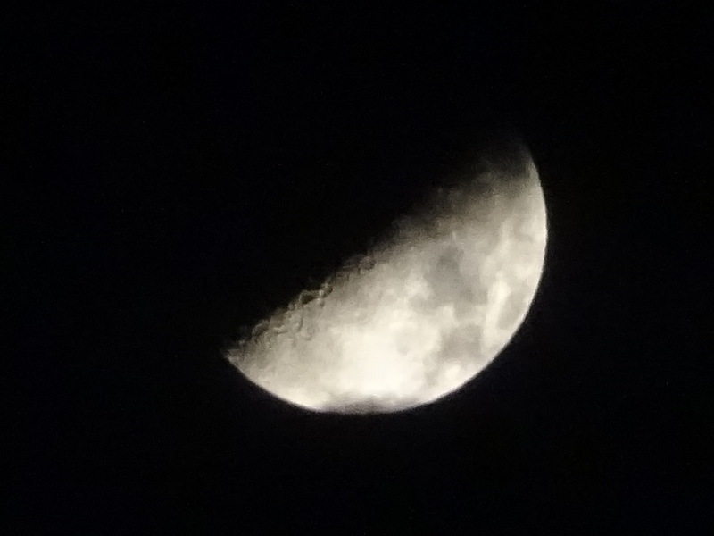 1dsc05291
