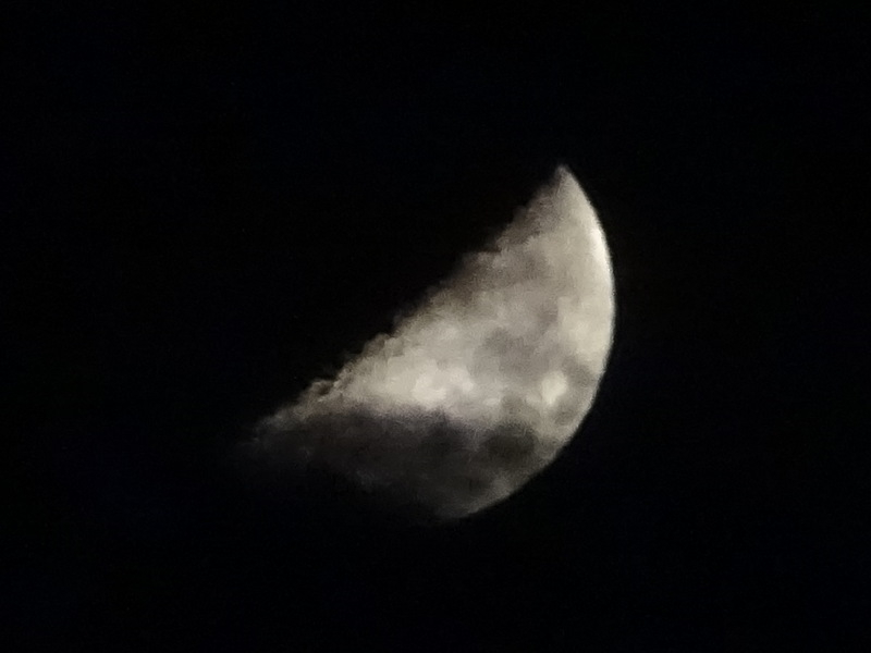 1dsc05292