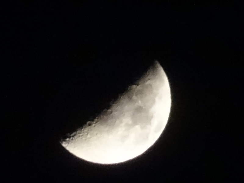 20dsc05296