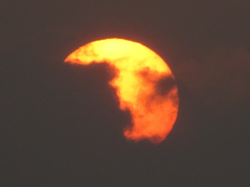 20dsc05320
