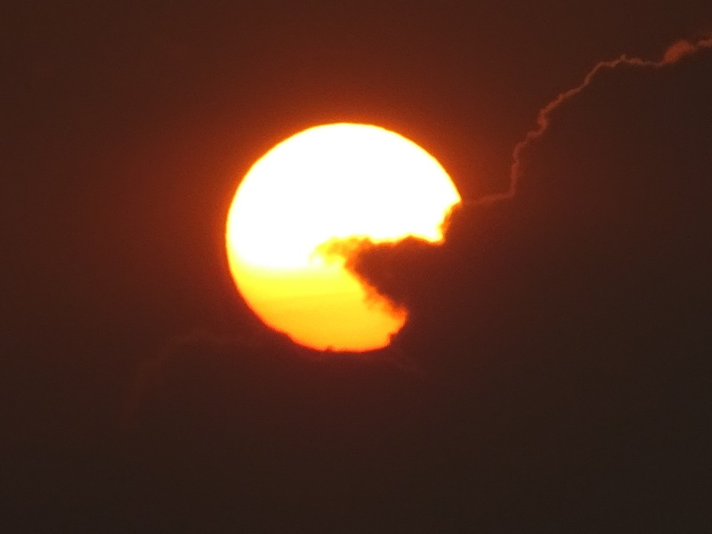 31dsc05331