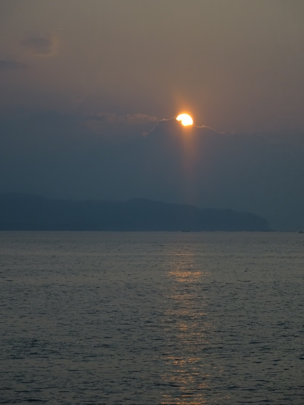 38dsc05338